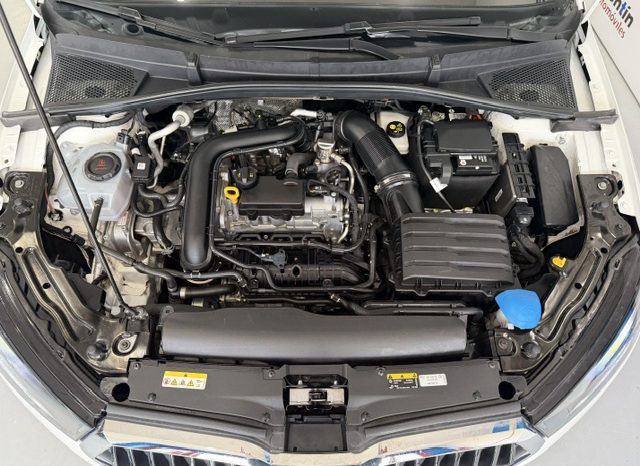 Skoda Fabia Ambition TSI 110cv 2023 lleno