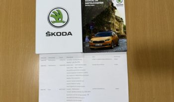 Skoda Fabia Ambition TSI 110cv 2023 lleno