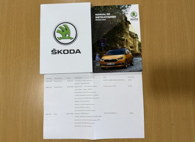 Skoda Fabia Ambition TSI 110cv 2023 lleno